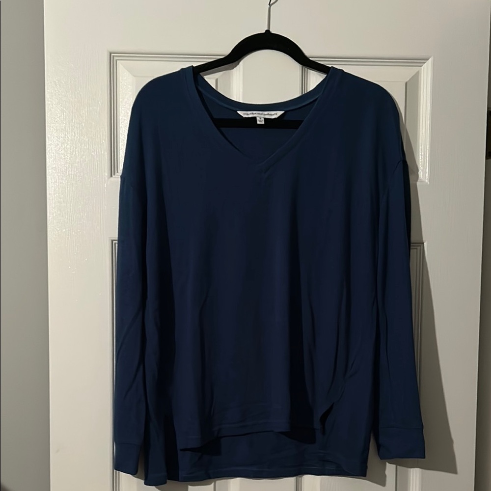 Cupcakes & Cashmere Blue V-Neck Sweater